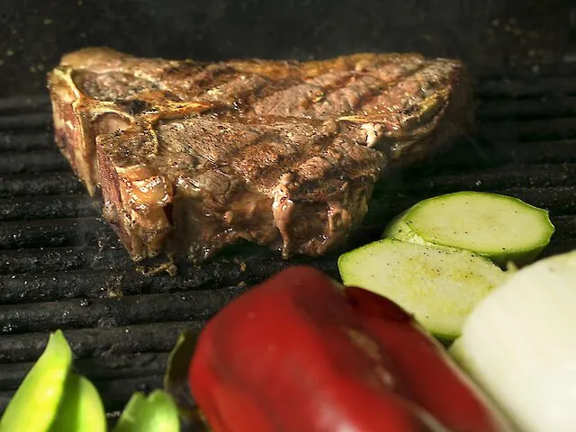 Gewerbliche Gasgrills