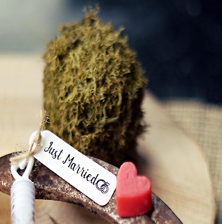 Jetzt Kontakt aufnehmen!